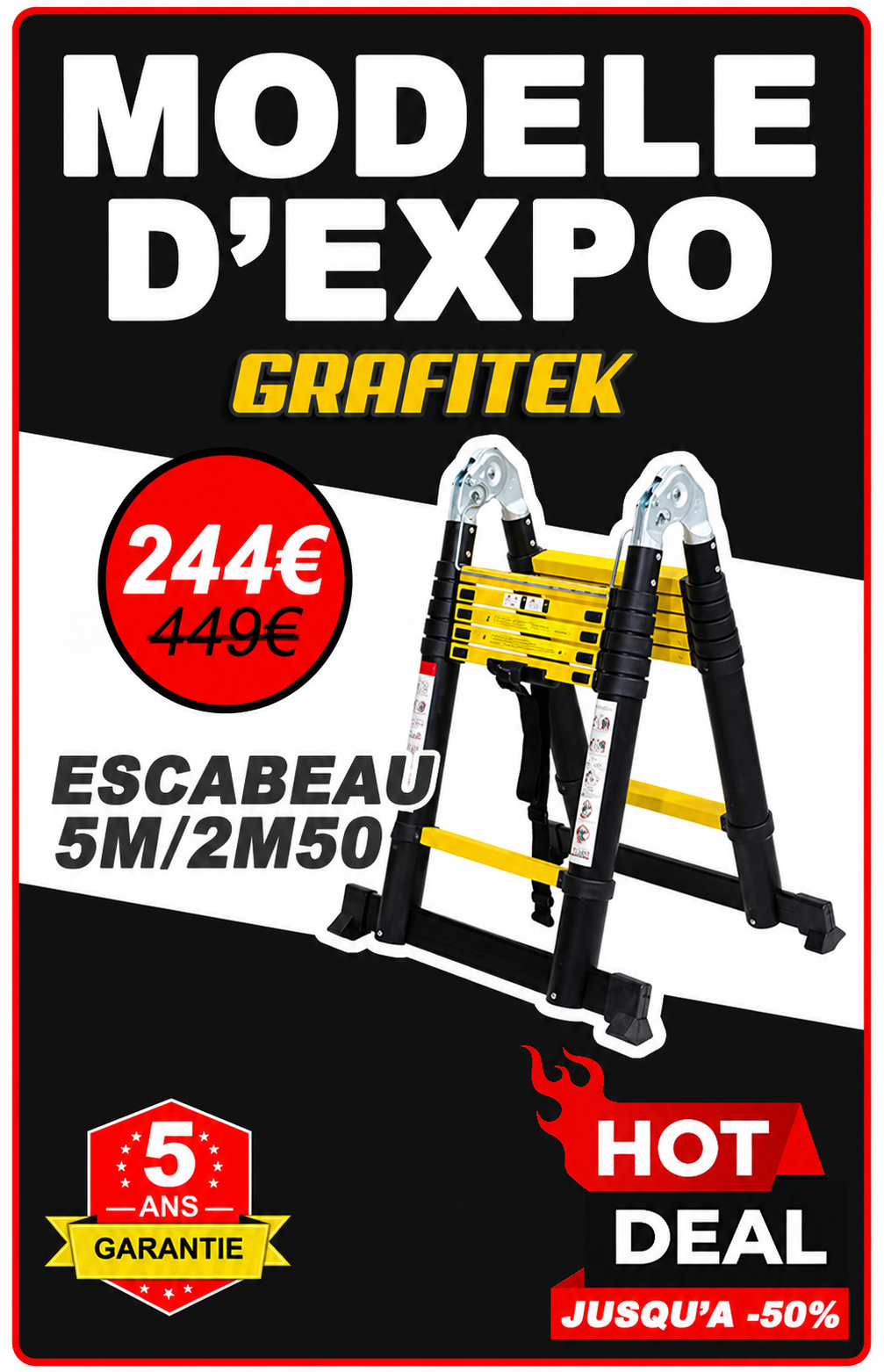 Échelle-Escabeau 5,00 / 2,50 m