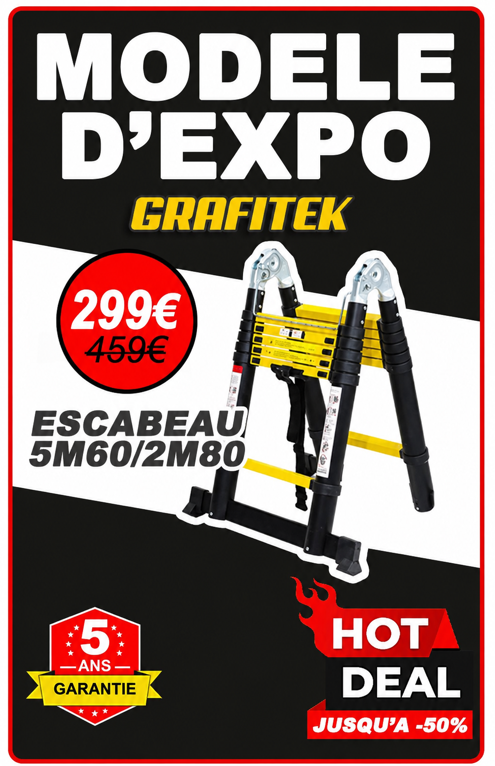 Échelle-Escabeau 5,60 / 2,80 m