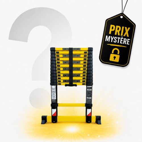 Échelle télescopique 3m80 avec Prix Mystère LeBonCoin