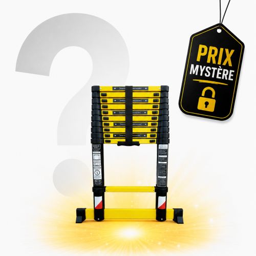 Échelle télescopique 4m40 avec Prix Mystère LeBonCoin