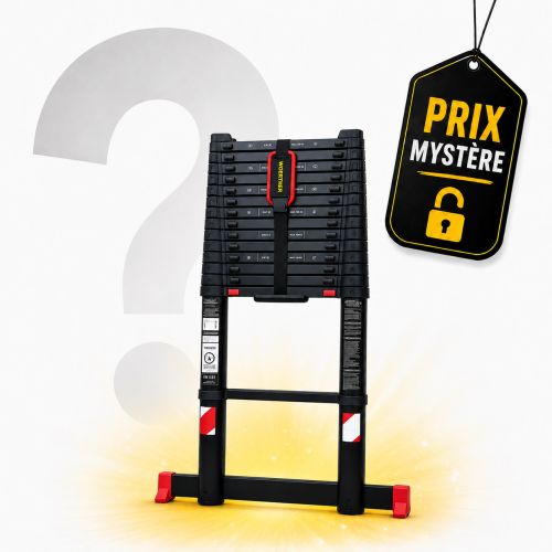 Échelle télescopique 5m20 avec Prix Mystère LeBonCoin