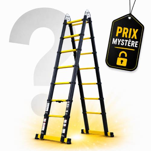 Escabeau télescopique 4m40 avec Prix Mystère LeBonCoin