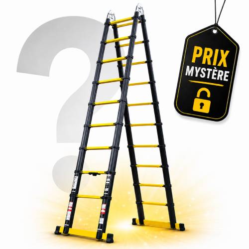 Escabeau télescopique 5m60 avec Prix Mystère LeBonCoin