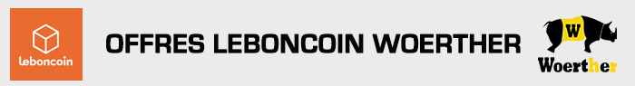 Leboncoin Echelle télescopique