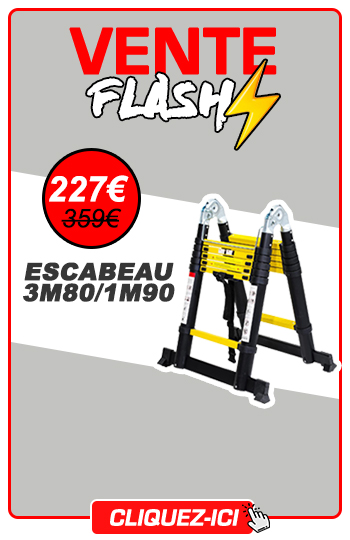 vente flash escabeau télescopique 3m80