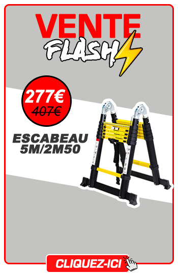 vente flash escabeau t&eacute;lescopique 5m