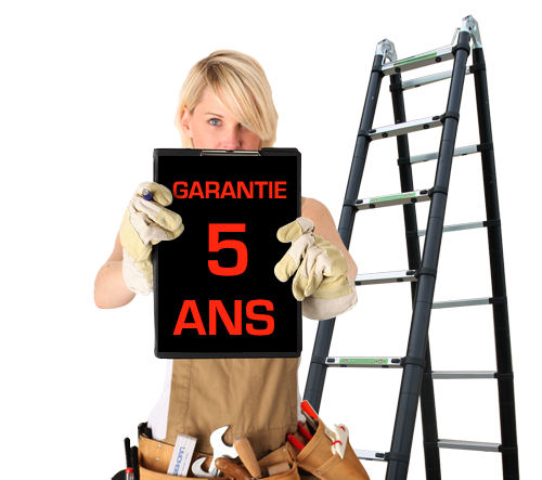 Echelle-escabeau Télescopique 4m40/2m20 Woerther Avec Double Barres  Stabilisatrices Plus Plateforme - Garantie 5 Ans - Qualité Supérieure ❘  Bricoman