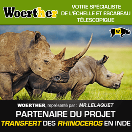 Projet tranfert rhinocéros