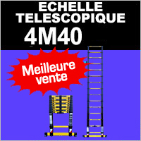 Echelle télescopique 4,40 mètres Woerther