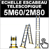 escabeau télescopique 5M/2M50 woerther, en aluminium anodisé, plateforme  multifonction et housse offertes.